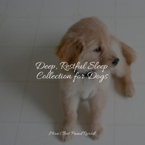 Dog Music Club - Deep, Restful Sleep Collection for Dogs - 2022