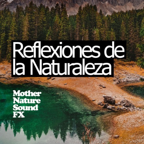 Relajacion del Mar - Reflexiones de la Naturaleza - 2019