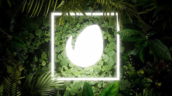 Lighting Nature Logo - VideoHive 44383431