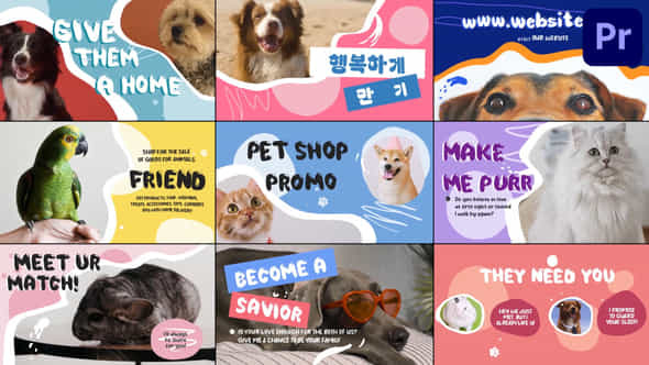 Pet Shop Promo For Premiere Pro - VideoHive 53665821