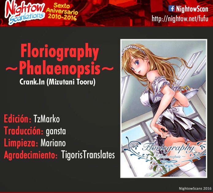 Floriography ~Phalaenopsis~ - 2