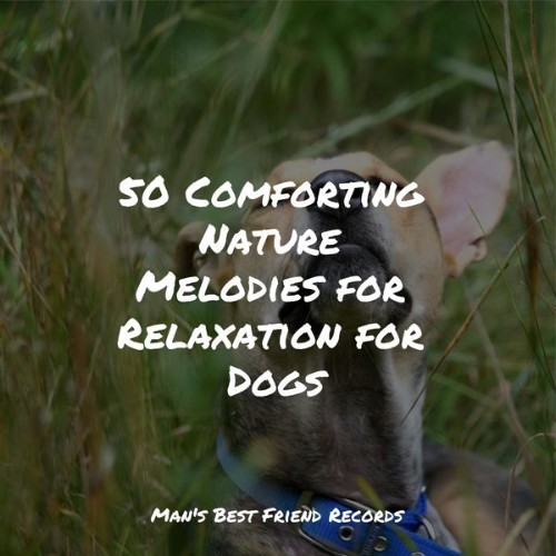 Music for Leaving Dogs Home Alone - 50 Comforting Nature Melodies for Relaxation for Dogs - 2022