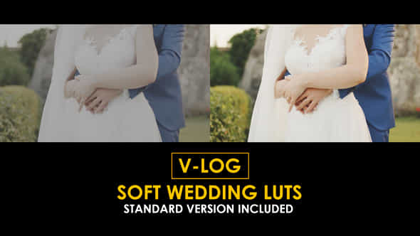 Vlog Soft Wedding And Standard Color Luts - VideoHive 51303476