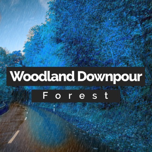 Forest - Woodland Downpour - 2019