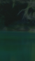 Pas de nouveaux messages Pas de nouveaux messages