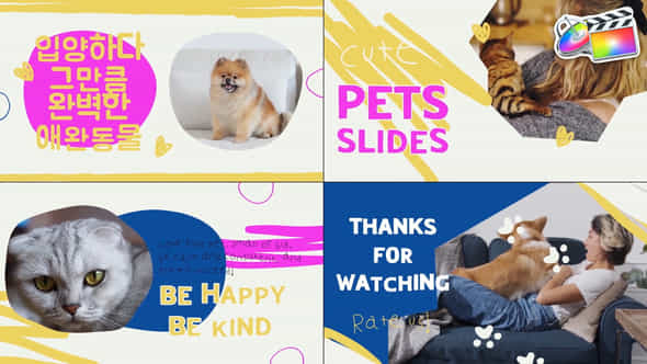 Pets Slides - VideoHive 48141063
