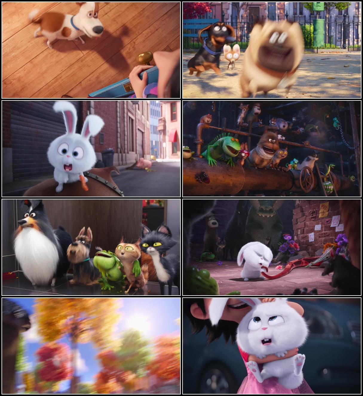 The Secret Life of Pets (2016) ENG 1080p HD WEBRip 1 69GiB AAC x264-PortalGoods RC2zXx5v_o