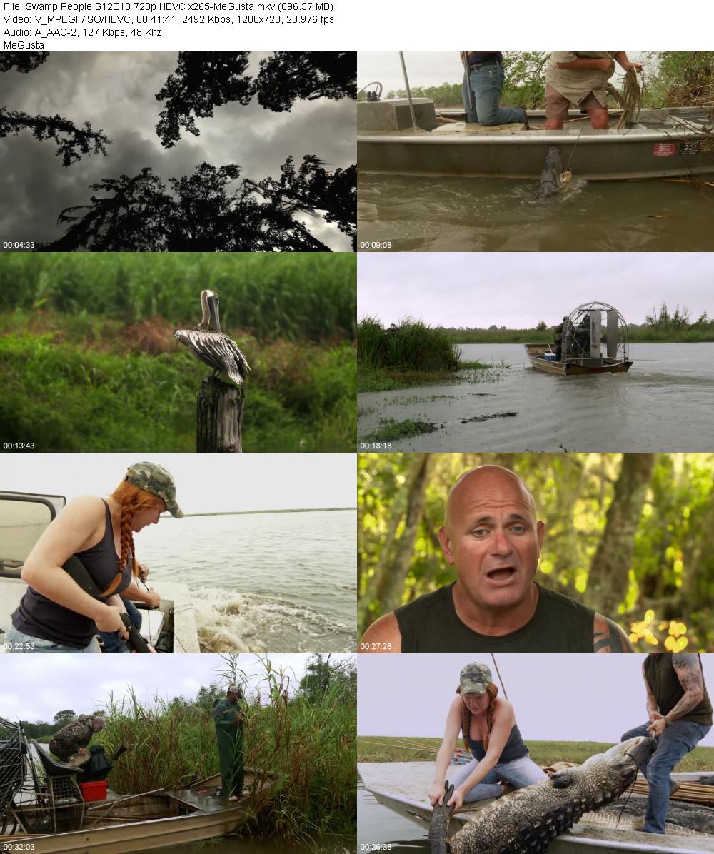 Swamp People S12E10 720p HEVC x265