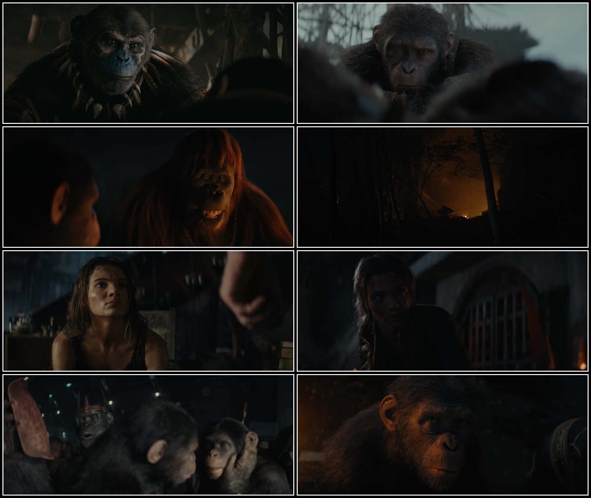 Il Regno del Pianeta delle Scimmie - Kingdom of The Planet of The Apes (2024) WebD... NlOHhxhW_o