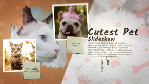 Cutest Pet Slideshow - VideoHive 47239191