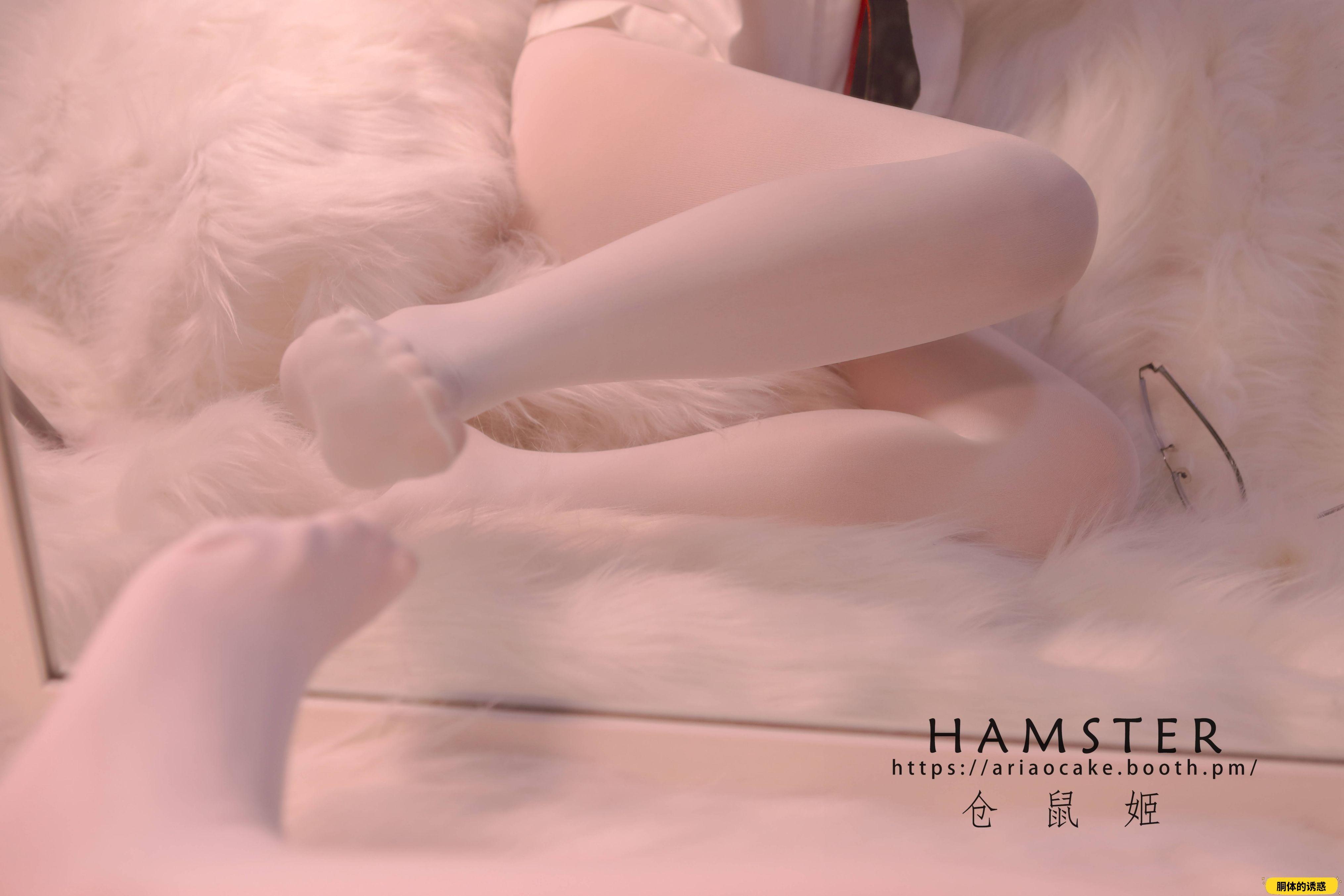 HAMSTERS 仓鼠姬 - NO.005 VOL.02 居家女友2 [34P-38MB]