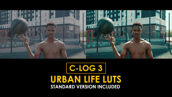 Canon Clog3 Urban Life And Standard Luts - VideoHive 50848360