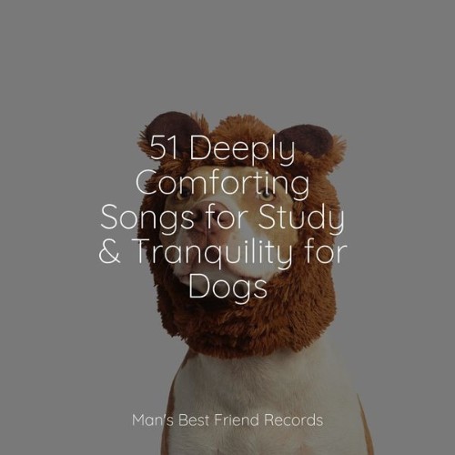 Music for Dog's Ear - 51 Deeply Comforting Songs for Study & Tranquility for Dogs - 2022