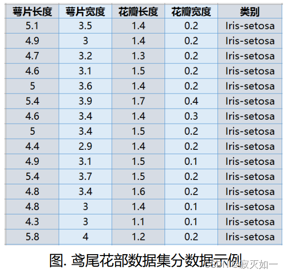 鸢尾花数据集部分数据示例