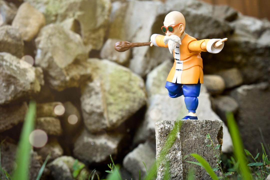 Dragon Ball - S.H. Figuarts (Bandai) - Page 3 4Kx0dA3f_o