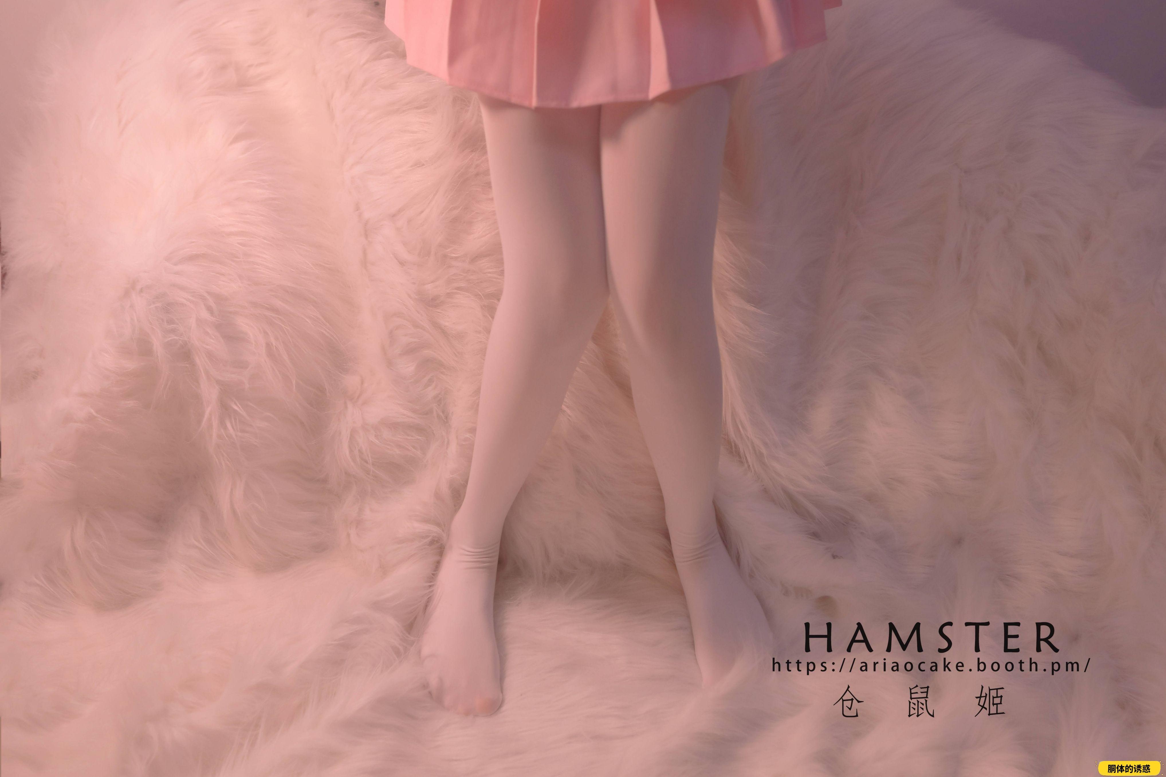 HAMSTERS 仓鼠姬 - NO.005 VOL.02 居家女友2 [34P-38MB]