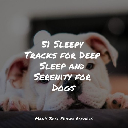 Relaxation Music For Dogs - 51 Sleepy Tracks for Deep Sleep and Serenity for Dogs - 2022