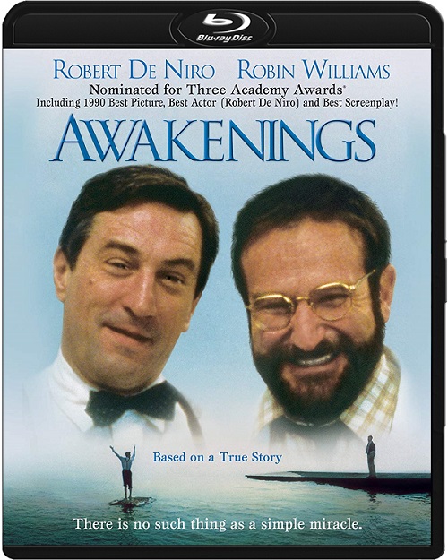 Przebudzenia / Awakenings (1990) MULTi.1080p.BluRay.x264.DTS.AC3-DENDA / LEKTOR i NAPISY PL