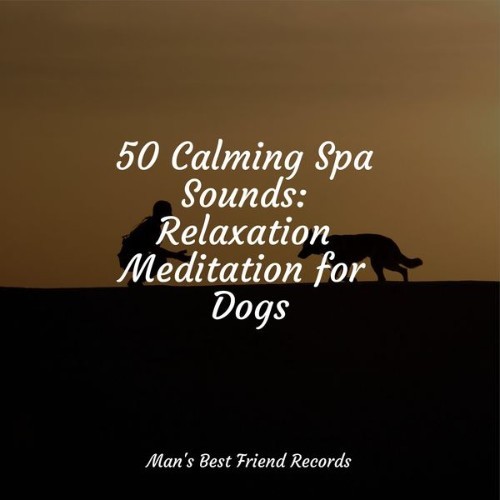 Relaxmydog - 50 Calming Spa Sounds Relaxation Meditation for Dogs - 2022