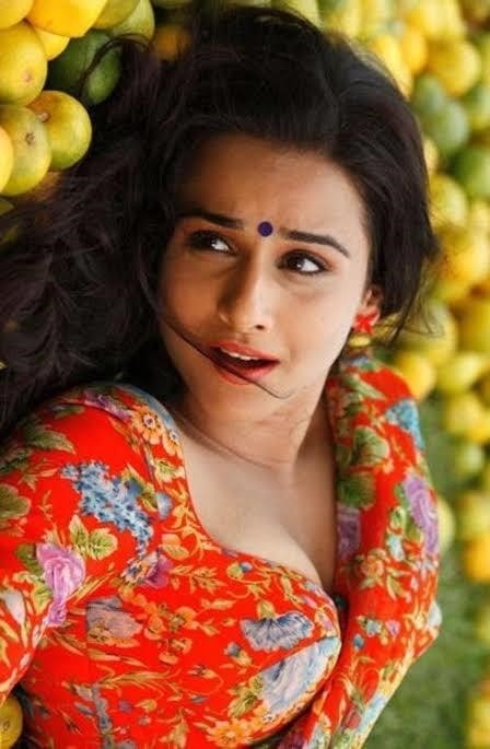 Vidya balan sexy pics-4016