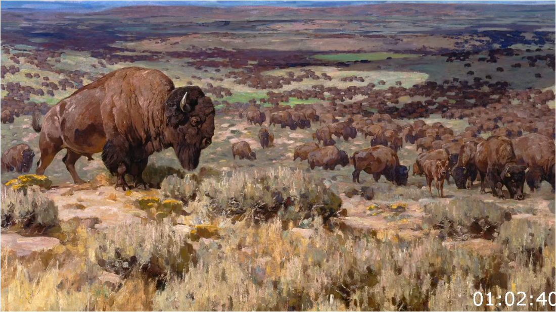 The American Buffalo (2023) [720p] (x265) O4oiwYM4_o