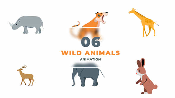 Wild Life Animals - VideoHive 47390225