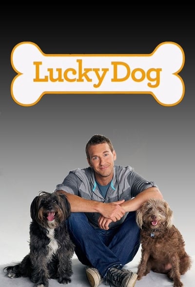 Lucky Dog S07E04 Rio WEB x264-LiGATE