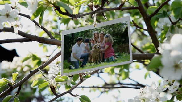 Family Photo Gallery - VideoHive 38276715