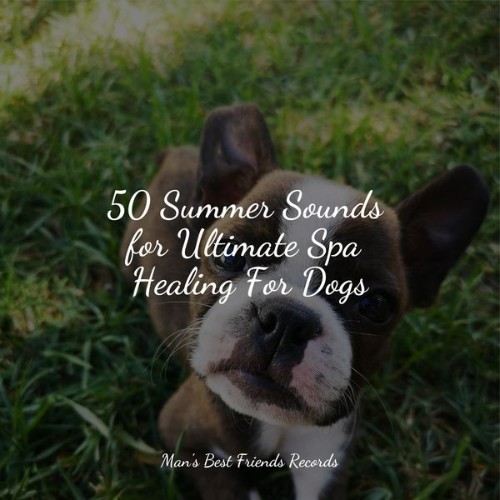 Calm Doggy - 50 Summer Sounds for Ultimate Spa Healing For Dogs - 2022