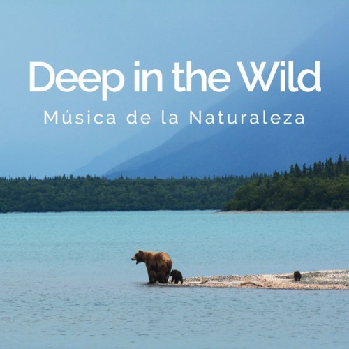 Relajacion del Mar - Deep in the Wild - 2019