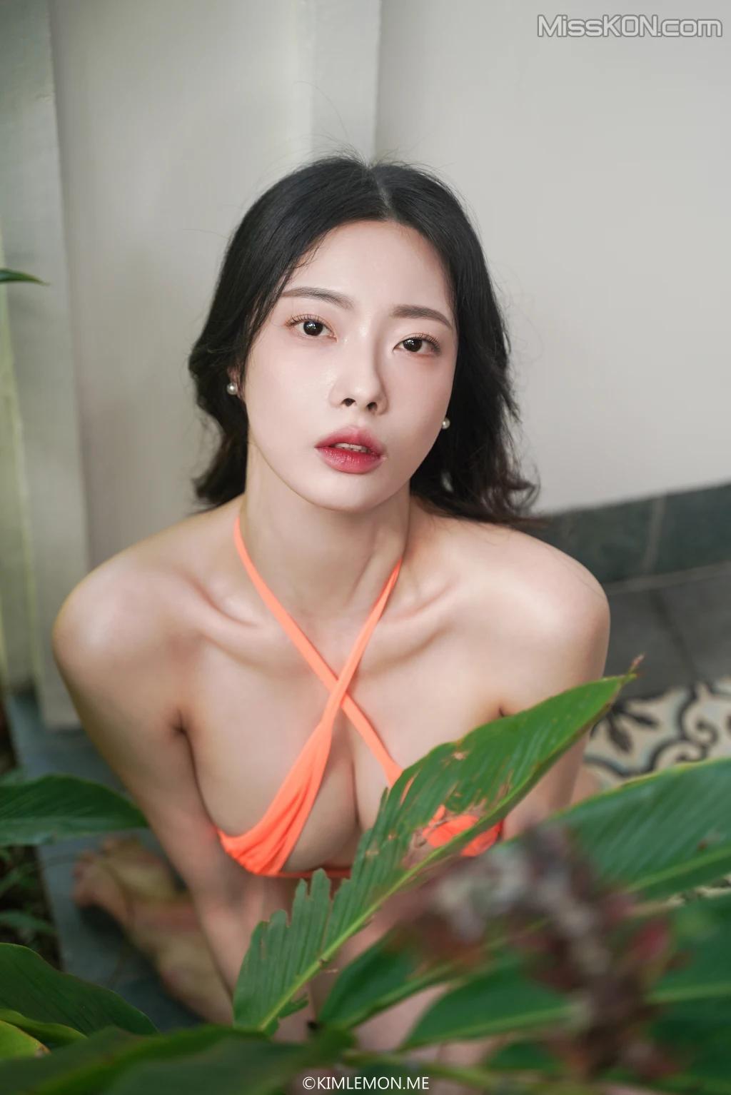 [KIMLEMON] SEYEON: Vol.27 (67 photos)(26)