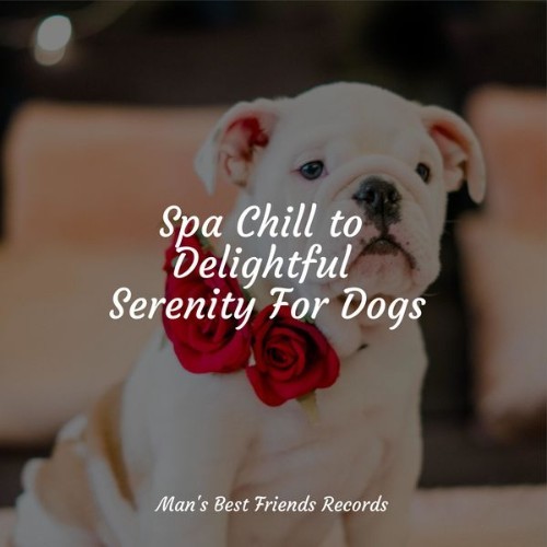 Calm Doggy - Spa Chill to Delightful Serenity For Dogs - 2022