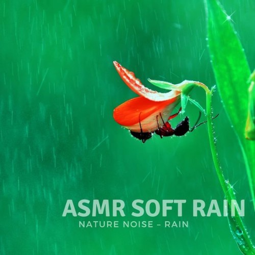 ASMR Soft Rain - The Rainy Days - 2022