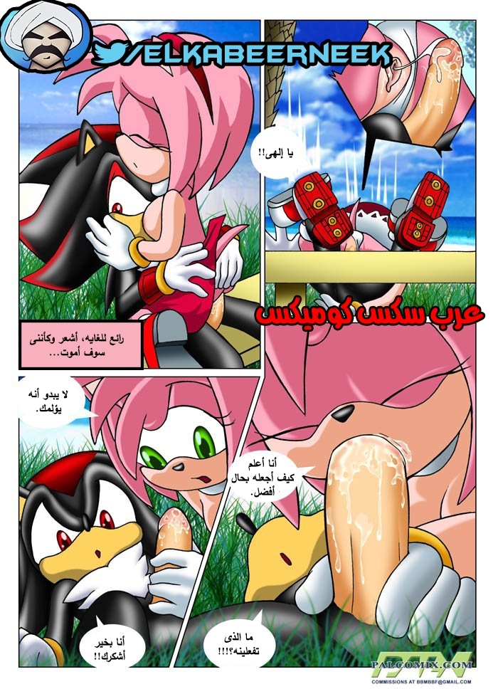 315 سونيك والبحث عن إيمى