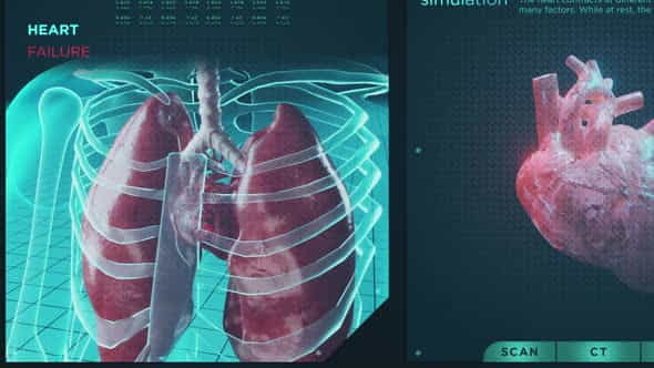 Heart Failure and Functions HUD - VideoHive 32670477