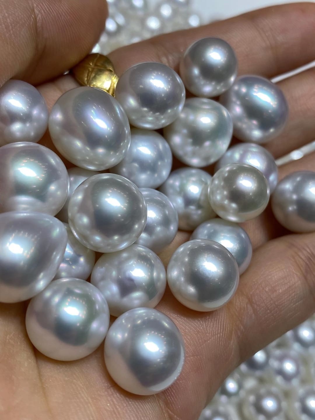 Myseapearl Presents Quality Freshwater & Sea Pearl Jewelry With Contemporary Style And Classic Appearance To Global Clients