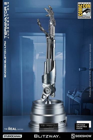 Terminator 2 : Endoskeleton Arm 1/1 (Blitzway) ATtsanhB_o