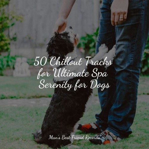 Pet Care Music Therapy - 50 Chillout Tracks for Ultimate Spa Serenity for Dogs - 2022