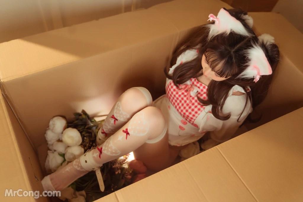 Coser@晕崽Zz: 箱娘 (52 photos)(12)