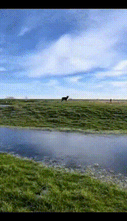 AWESOME GIFS 3 PMjUtHvN_o
