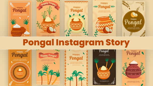 Pongal Instagram Story Pack - VideoHive 35403593