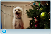 https//images2.imgbox.com/f3/bd/a3MJIPWs_o.png