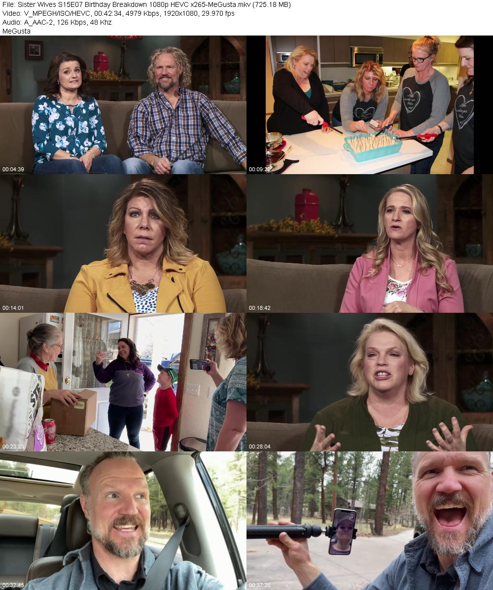 Sister Wives S15E07 Birthday Breakdown 1080p HEVC x265 MeGusta