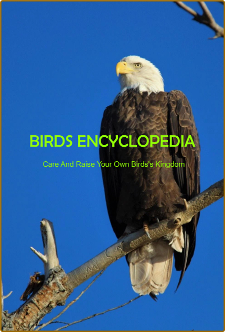 Birds Encyclopedia by King Kristen