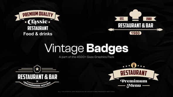 15 Vintage Badges - VideoHive 48321856