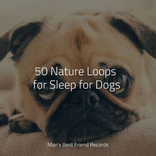 Music for Calming Dogs - 50 Nature Loops for Sleep for Dogs - 2022