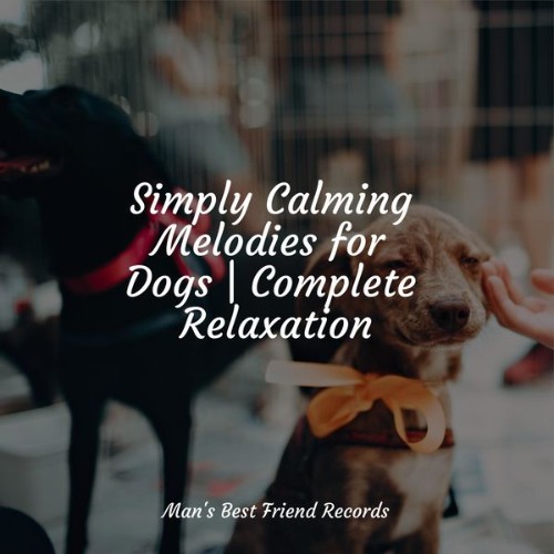 Sleepy Dogs - Simply Calming Melodies for Dogs  Complete Relaxation - 2022