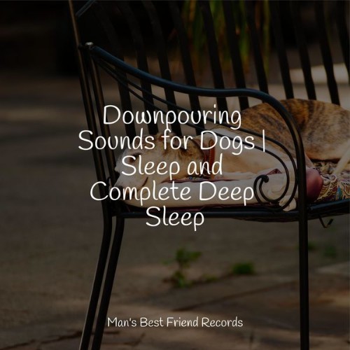 Jazz Music Therapy for Dogs - Downpouring Sounds for Dogs  Sleep and Complete Deep Sleep - 2022