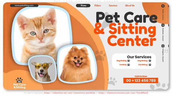 Pet Care and Sitting Center - VideoHive 32102574