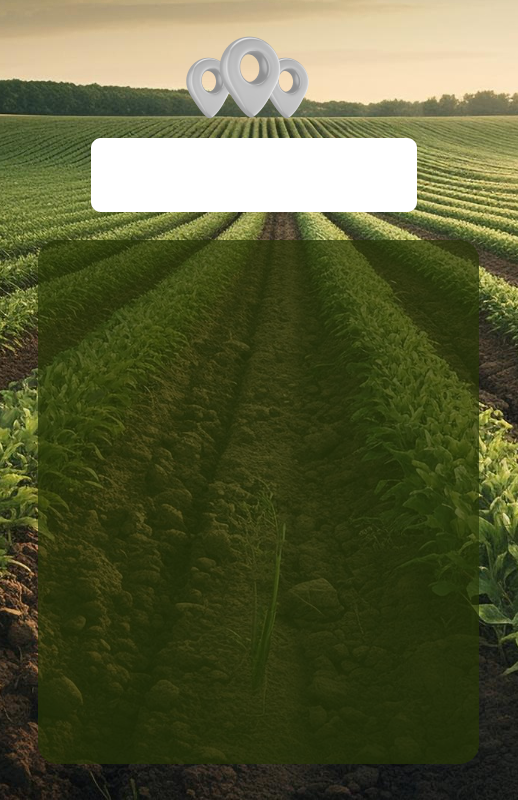 Banner endereços das lojas Agricar